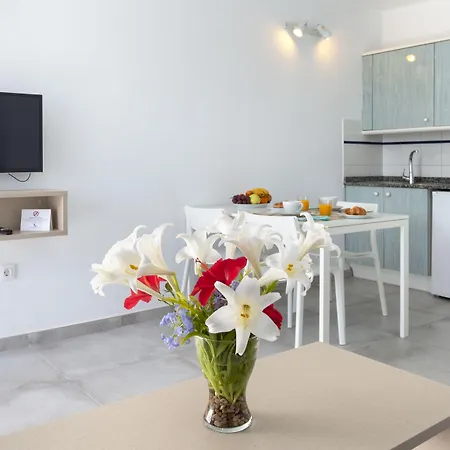 Livvo Oasis 公寓 卡门港